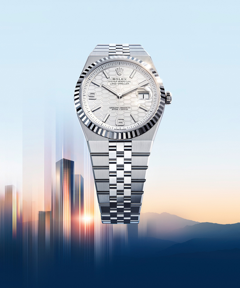 Oyster Perpetual Land‑Dweller 40, Rolesor gris