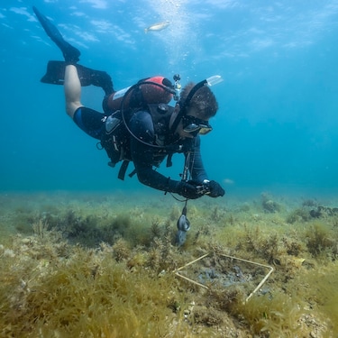 Oceanwise Australia researcher Jason Dickie uses a  quadrat to survey the sea bed in the shallow waters of  Exmouth Gulf.