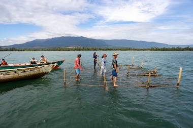 Marine Conservation Cambodia run a programme along the coast helping local people to move into more sustainable oyster farming by deploying bamboo shellfish rafts.