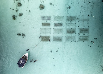 An aerial view of the Coral Gardeners team at a coral nursery in Mo’orea, French Polynesia.