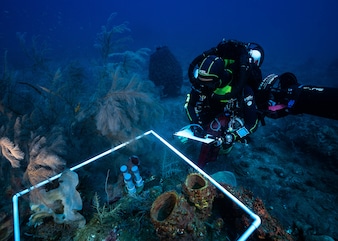 Under The Pole diver Erwan Marivint is counting and describing the animals present in a quadrat surrounding the sediment traps. The traps have been left for several days. Once the notes have been made, they will be returned to the surface for analysis.