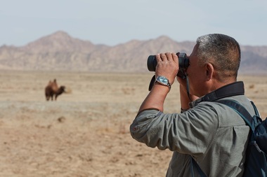 2023 Rolex Awards for Enterprise Laureate Liu Shaochuang observing a rescued wild camel in the Annanba Wild Camel Nature Reserve.