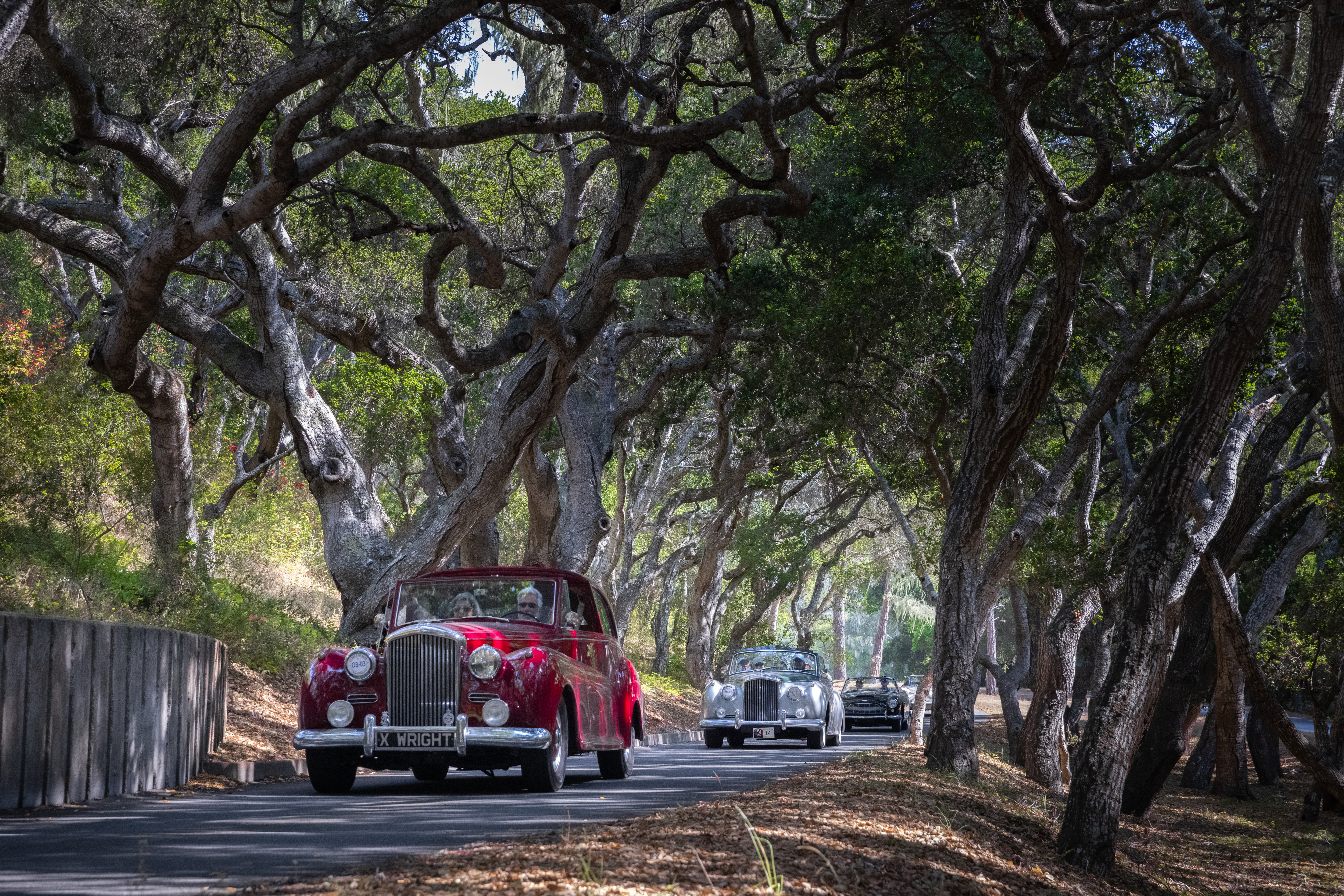 CARS AMONG THE TREES AT TEHAMA DURING THE 2021 PEBBLE BEACH TOUR D’ELEGANCE® PRESENTED BY ROLEX