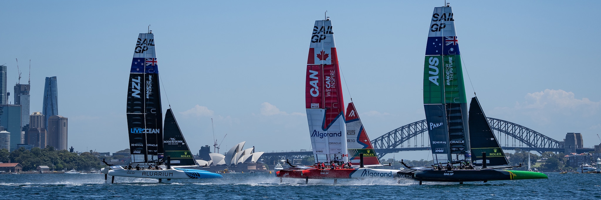 Rolex sailing outlet